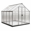 Invernadero de Policarbonato con Estructura de Aluminio 250x190x195 cm Transparente